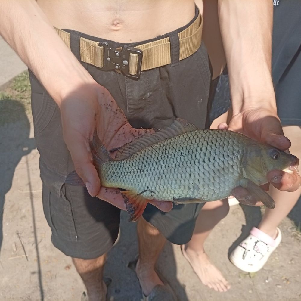 карєри