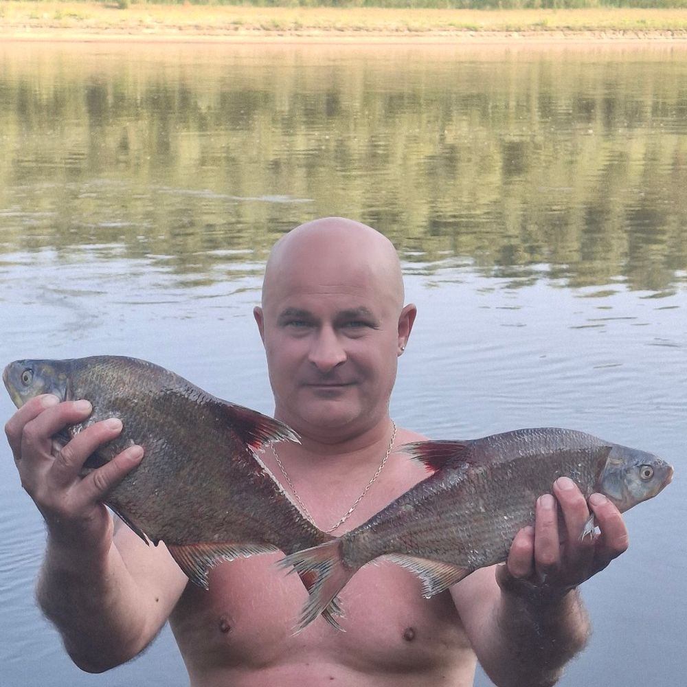 Снов впадає в Десну