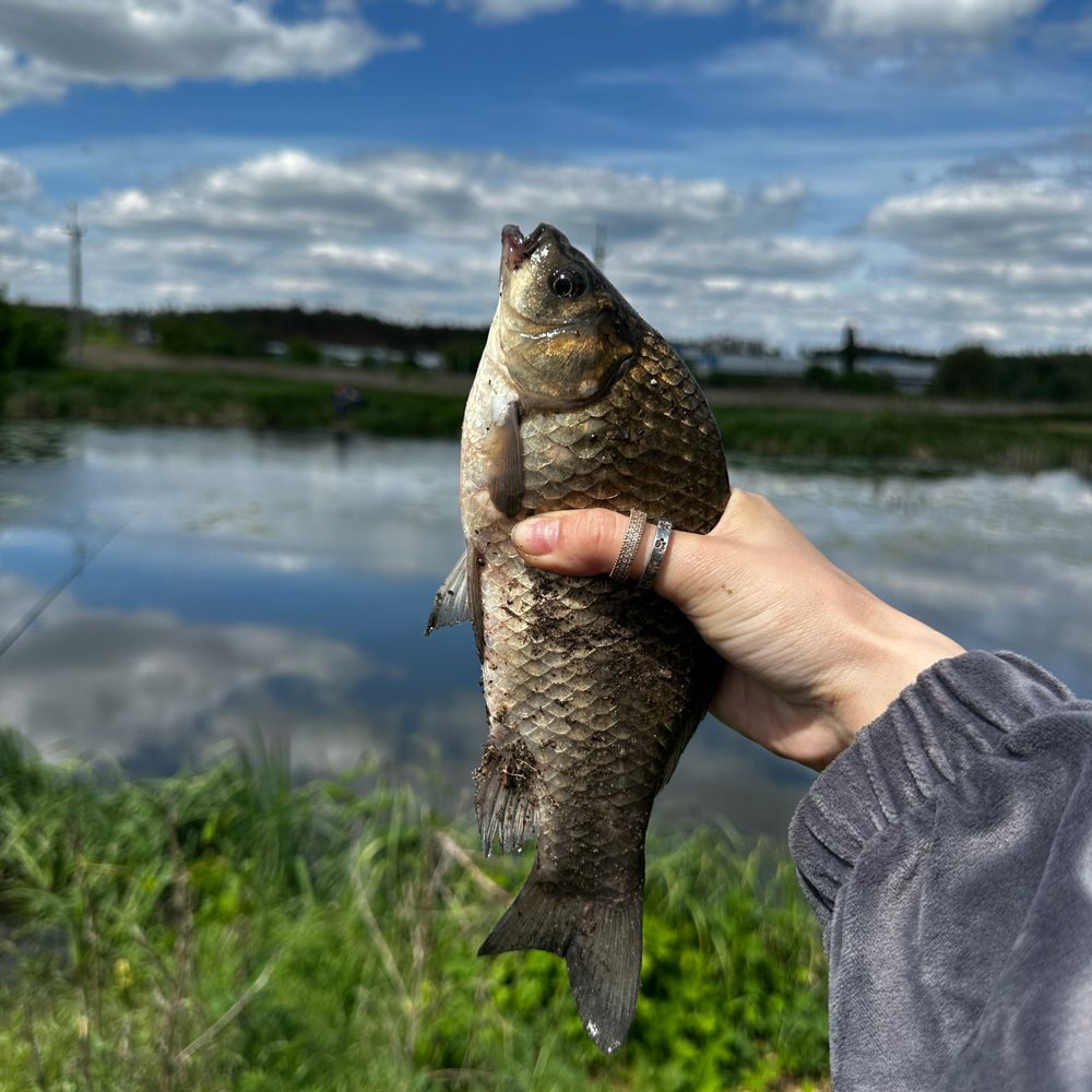 Річка Ірпінь 