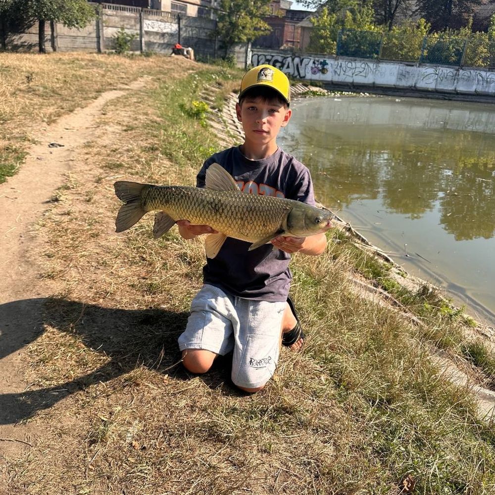 Левандівка