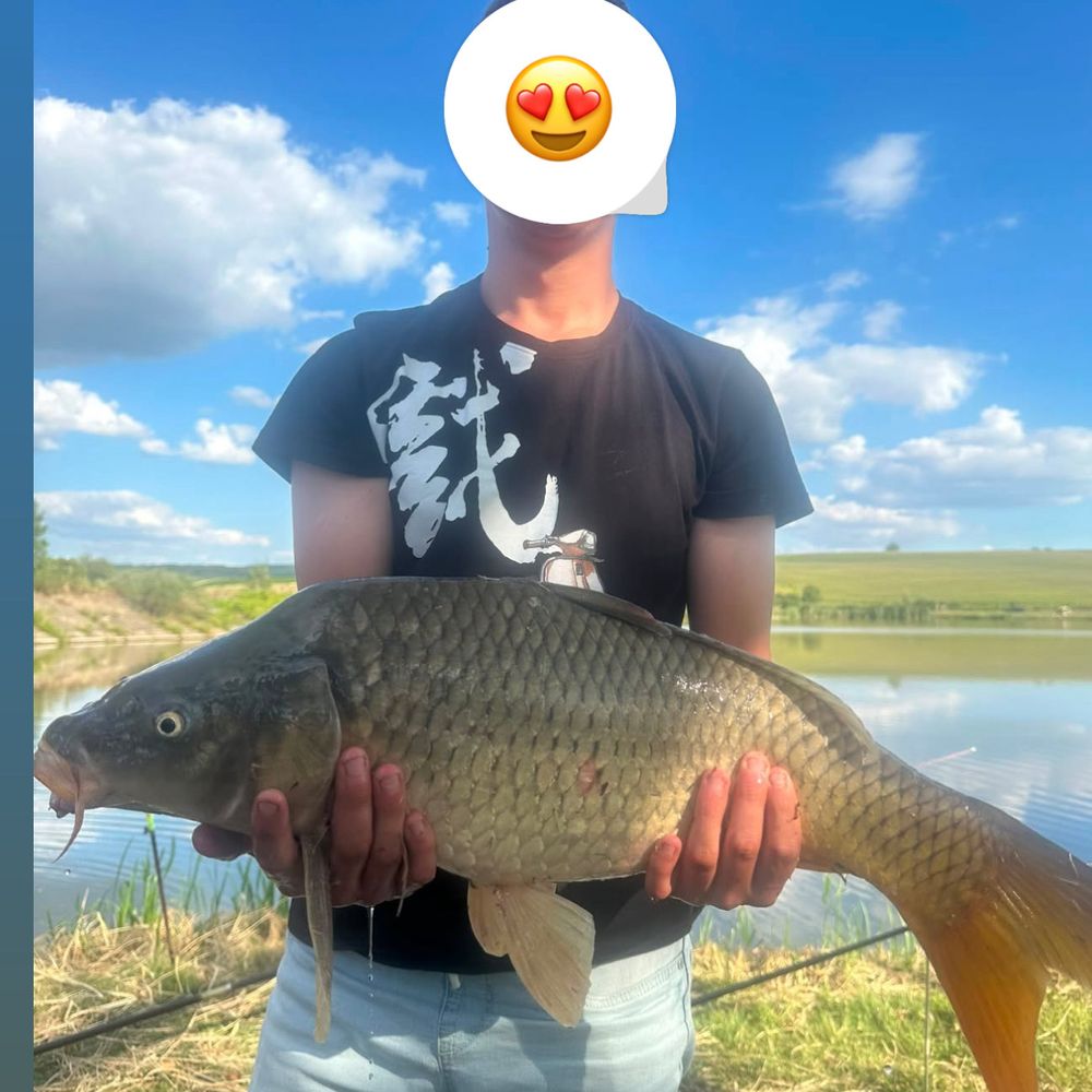 Трофейне іф 