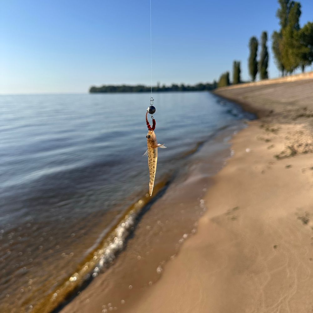 Тетрів