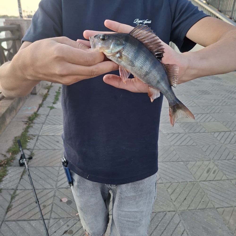 Rīga