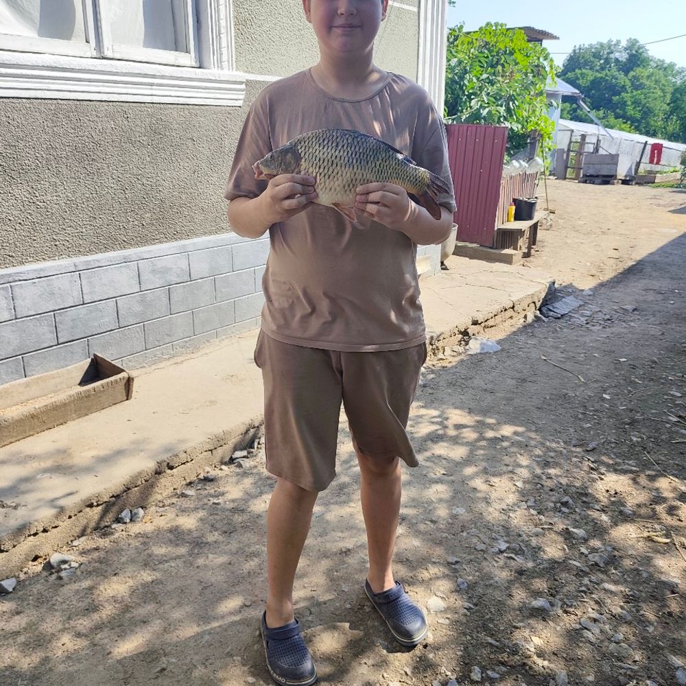 Дністер