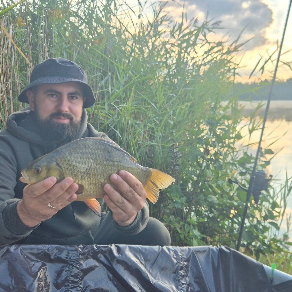 Баунті