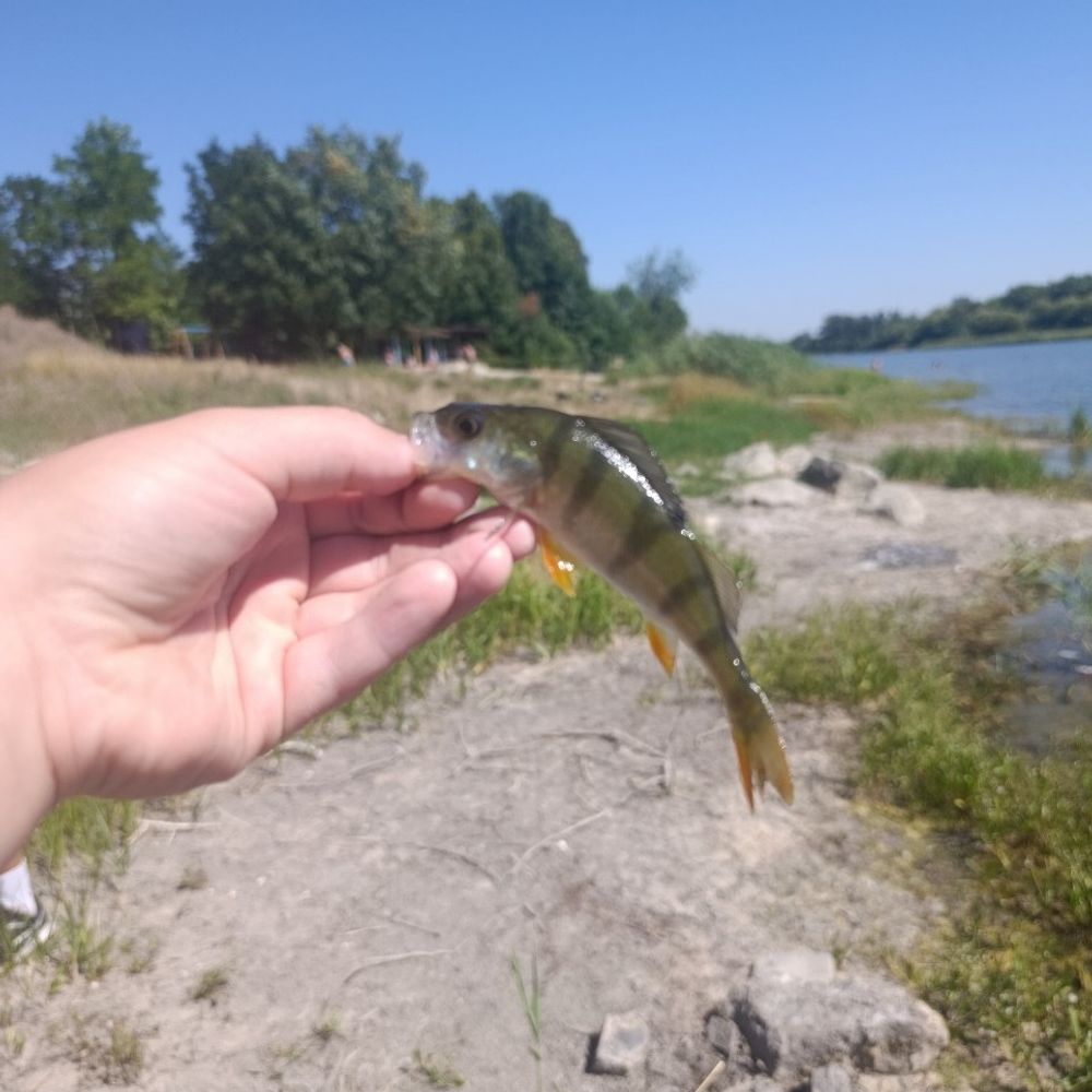 весела іванівка 