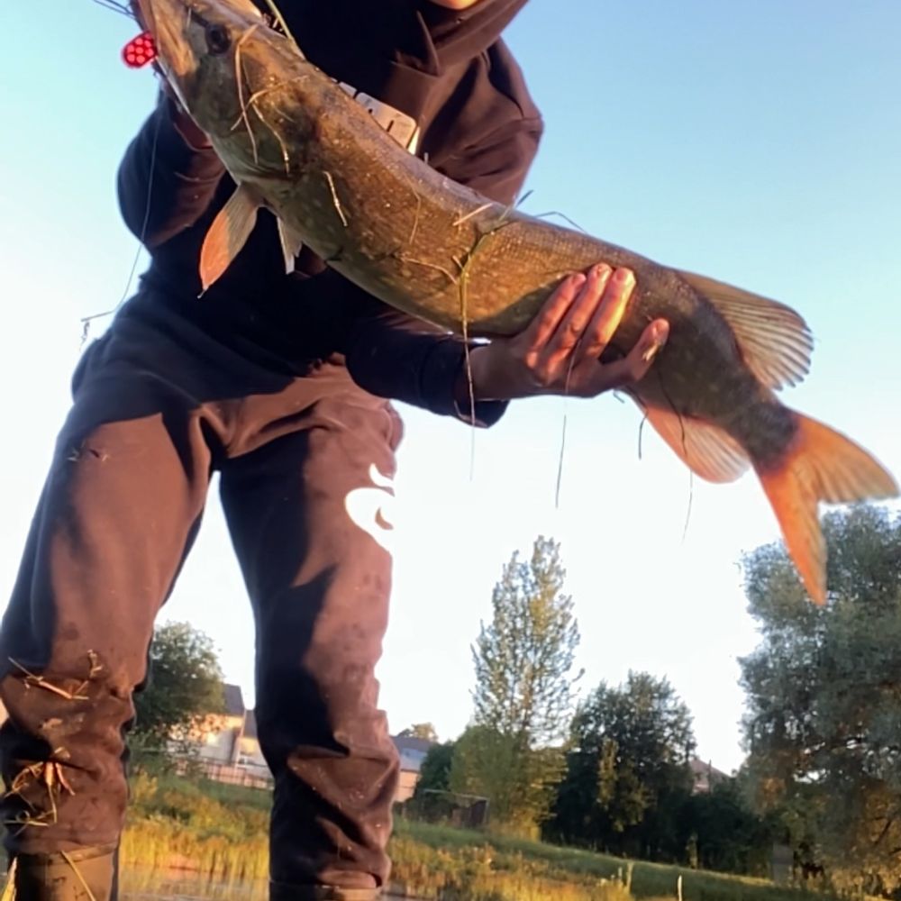 Siltumnīcas Dīķis