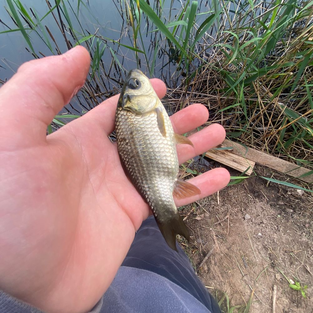 Secret pond